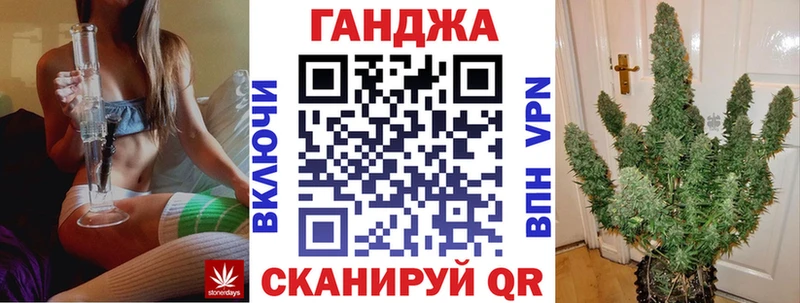 Купить  Судак  Канабис планчик 